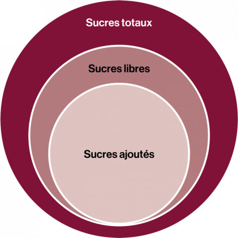 Relation entre les sucres ajoutés, libres et totaux.